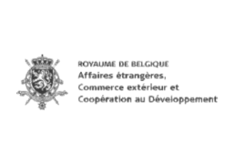 Logo du Ministère des Affaires étrangères de Belgique (MAFB)