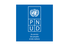 Logo du Programme des Nations Unies pour le Développement (PNUD)